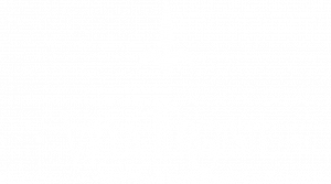 logo_villa_bianco